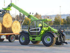 Merlo verde con balle di fieno